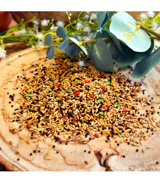 mistura passaros canarios shambi