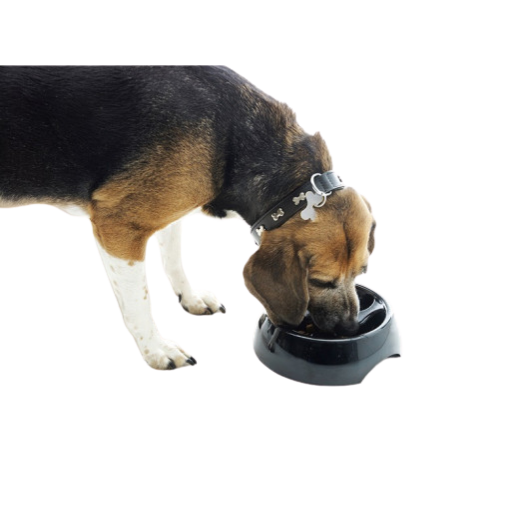 comedouro savic inca tamanho