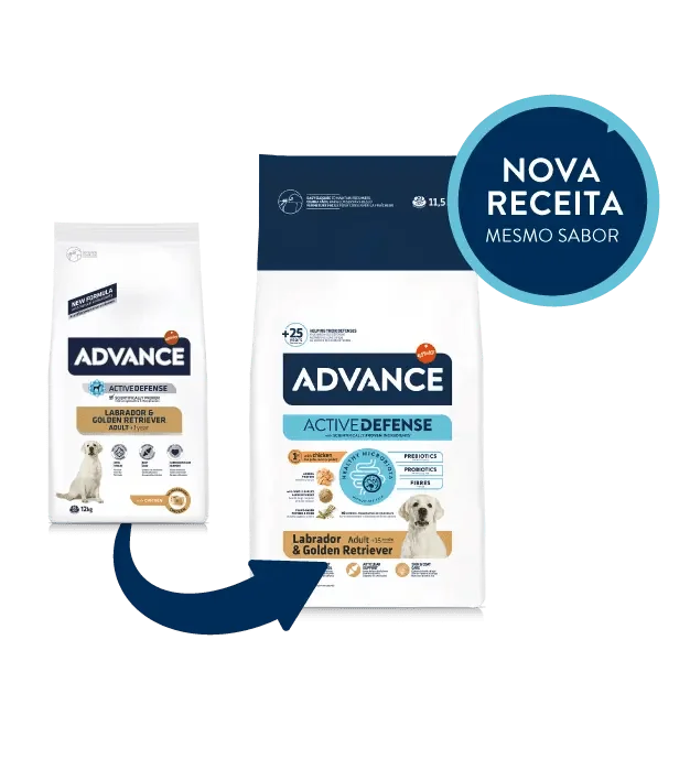 advance cão ração seca labrador frango emb